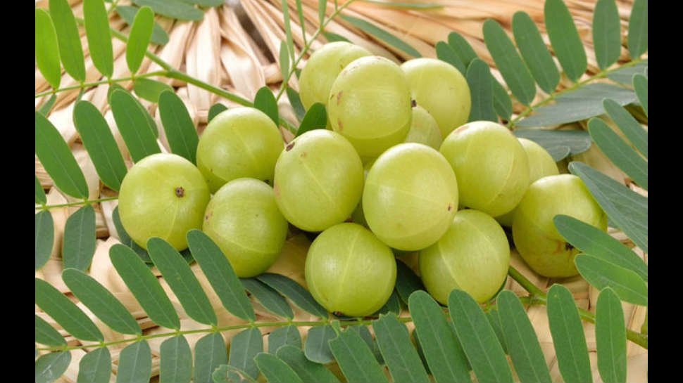 Hair benefits of Amla or Indian gooseberry