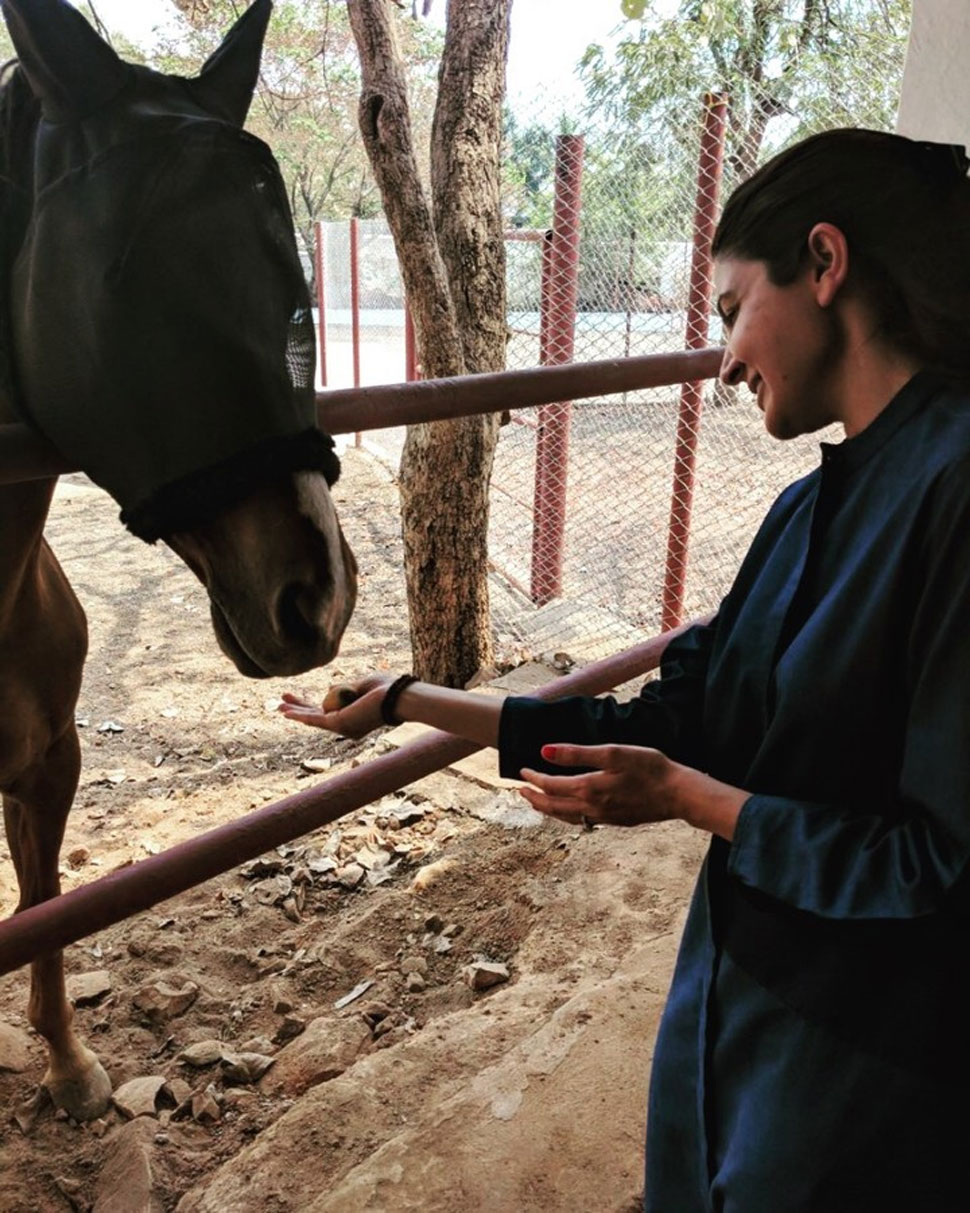 Anushka Sharma, Animal Shelter, Birthday Special