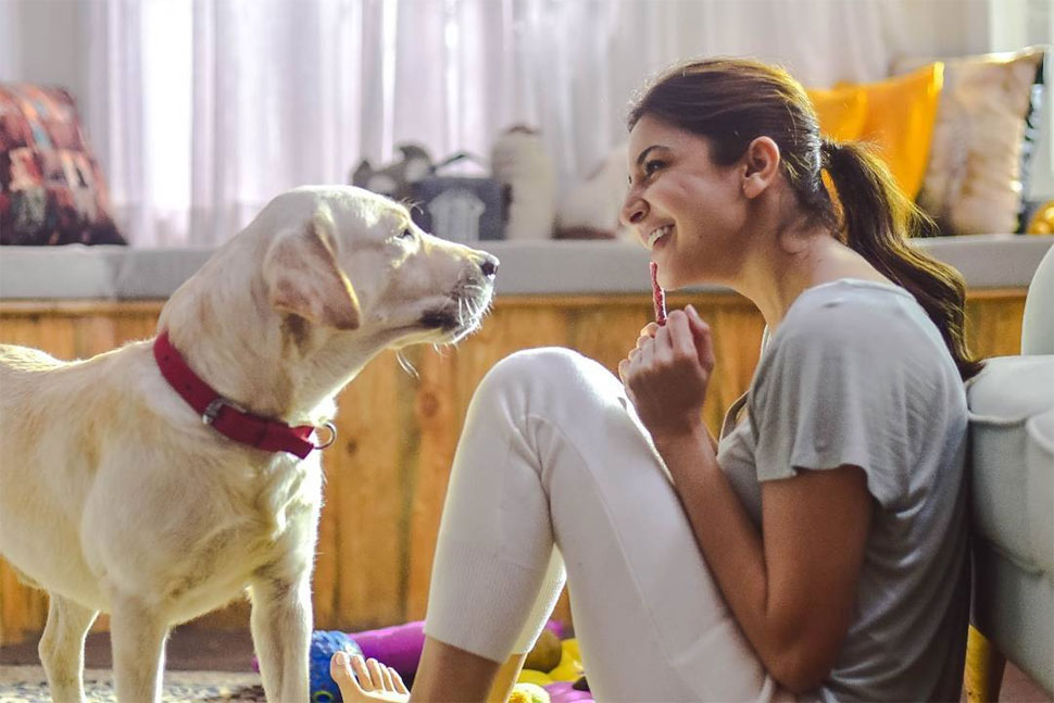 Anushka Sharma, Animal Shelter, Birthday Special