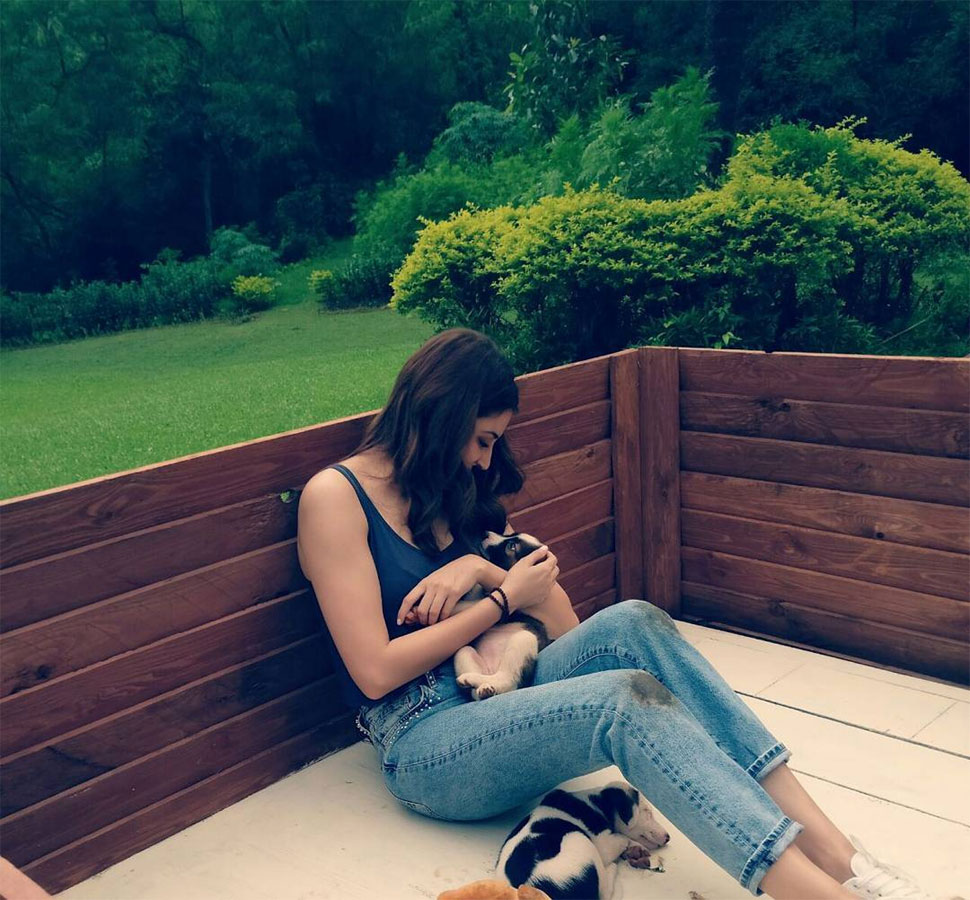 Anushka Sharma, Animal Shelter, Birthday Special