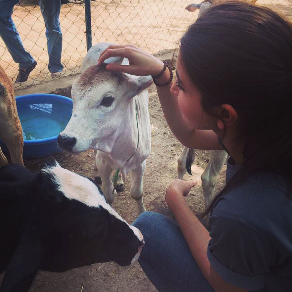 Anushka Sharma, Animal Shelter, Birthday Special