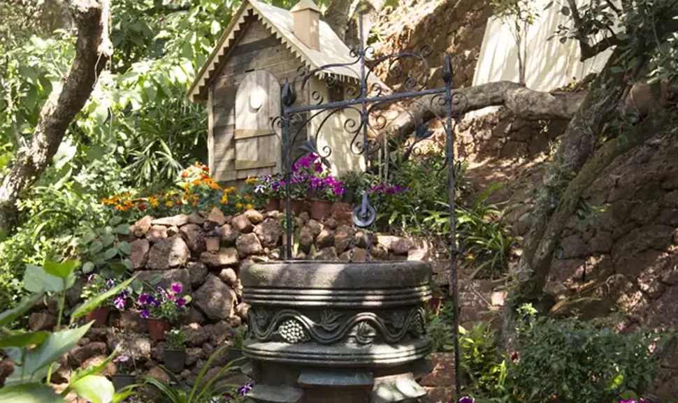 Wishing Well in Greenwoods, Mahabaleshwar