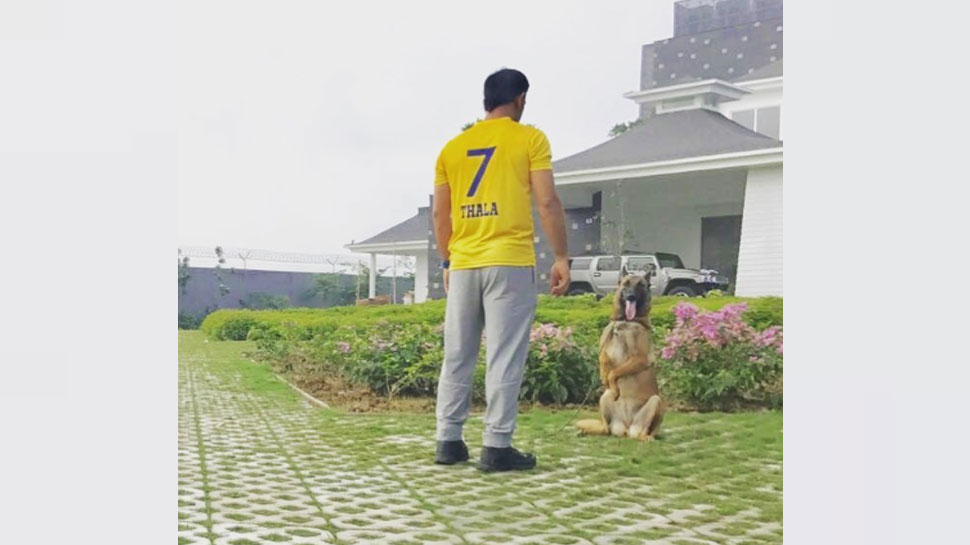 MS Dhoni, Farmhouse