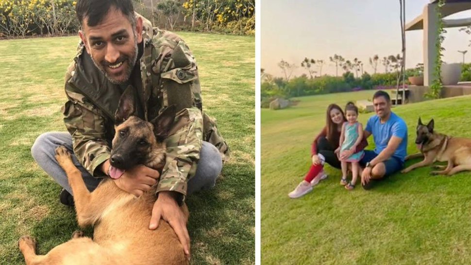 MS Dhoni, Farmhouse