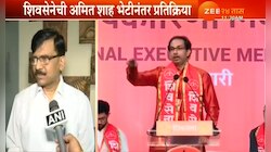 शाह-ठाकरे भेटीनंतर 'युती'बद्दल संजय राऊत म्हणतात... 