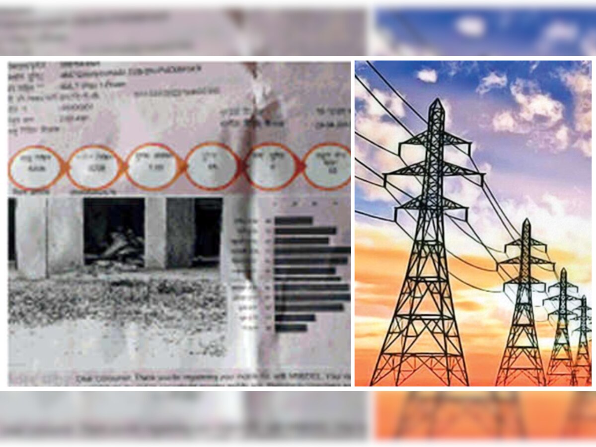 वीजबिलावर कुत्र्याचा फोटो; महावितरणची कामगिरी title=