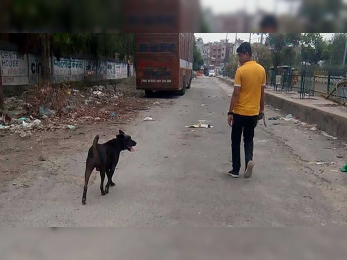 बुराडी प्रकरणाच्या २२ दिवसानंतर कुटुंबातल्या कुत्र्याचाही मृत्यू title=