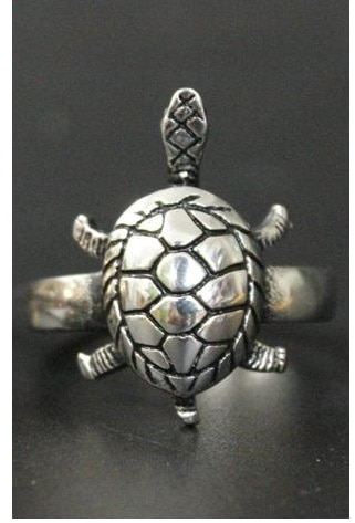 why people use tortoise ring in hand_four