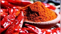मुख्यमंत्र्यांवर लाल मिरचीपूड फेकून हल्ला, चष्माही तोडला