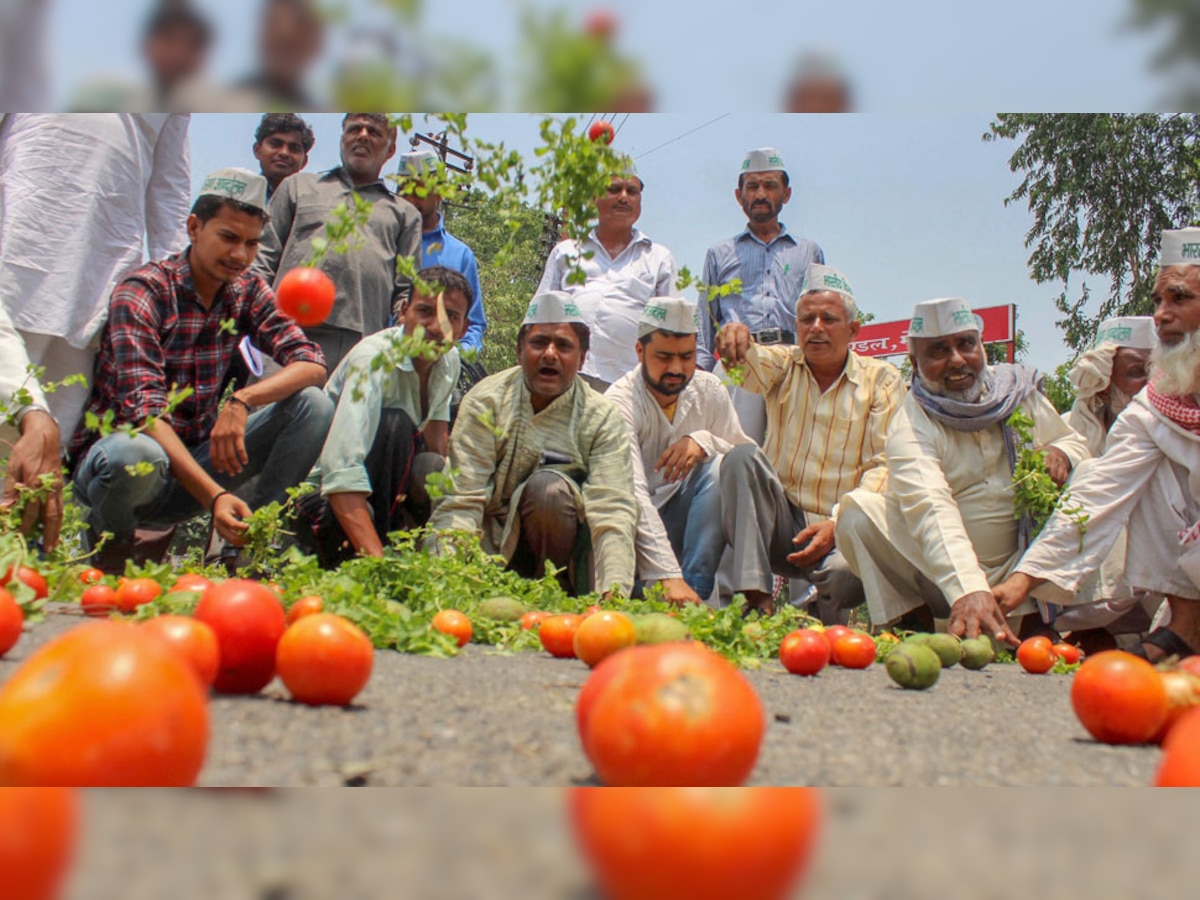शेतकऱ्यांसाठी गुडन्यूज, दिल्लीत लागू होणार स्वामीनाथन आयोग title=