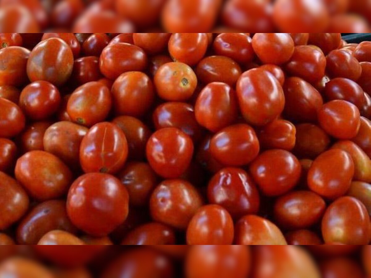 उपाशी राहिलो तरी चालेल पण पाकिस्तानला टोमॅटो निर्यात नाही, शेतकरी ठाम title=