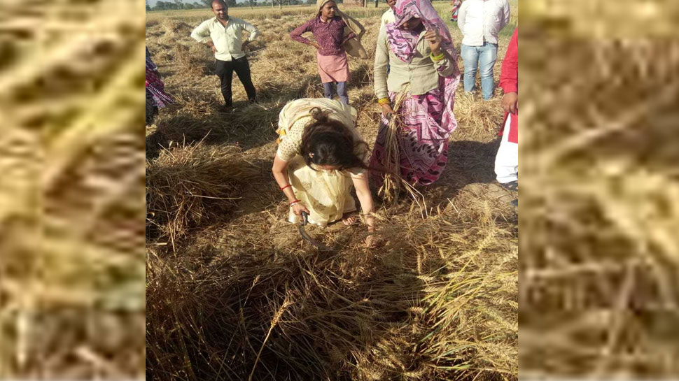 मत मिळवण्याकरीता प्रत्येक उमेदवार शक्कल लढवत आहेत.