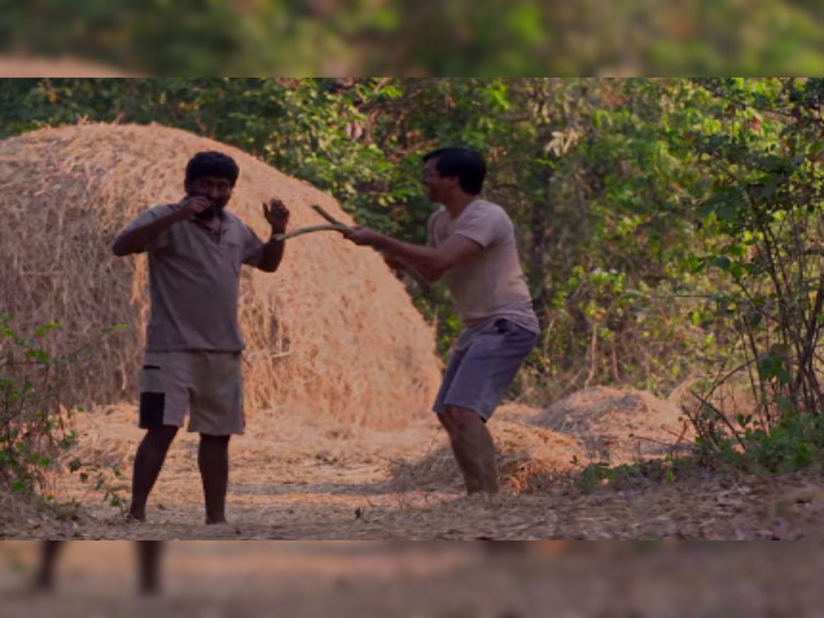 VIDEO : 'पांडू'- 'काशी' आमनेसामने येताच नेटकरी सुस्साट....  title=