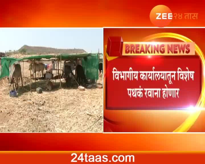 Beed Inquiry To Begin On Fake And Corruption In Animal Fodder Camp