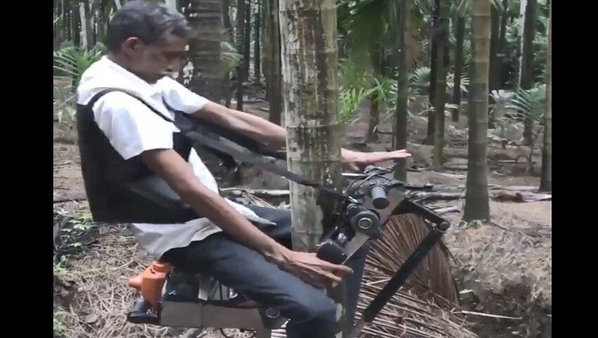 झाडावर चढणे अत्यंत धोकादायक झाडावर चढणे अत्यंत धोकादायक
