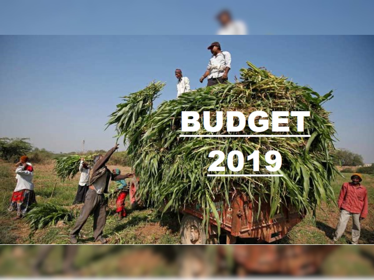 Budget 2019 : शेतकऱ्यांना मिळू शकते मोठी खूशखबर title=