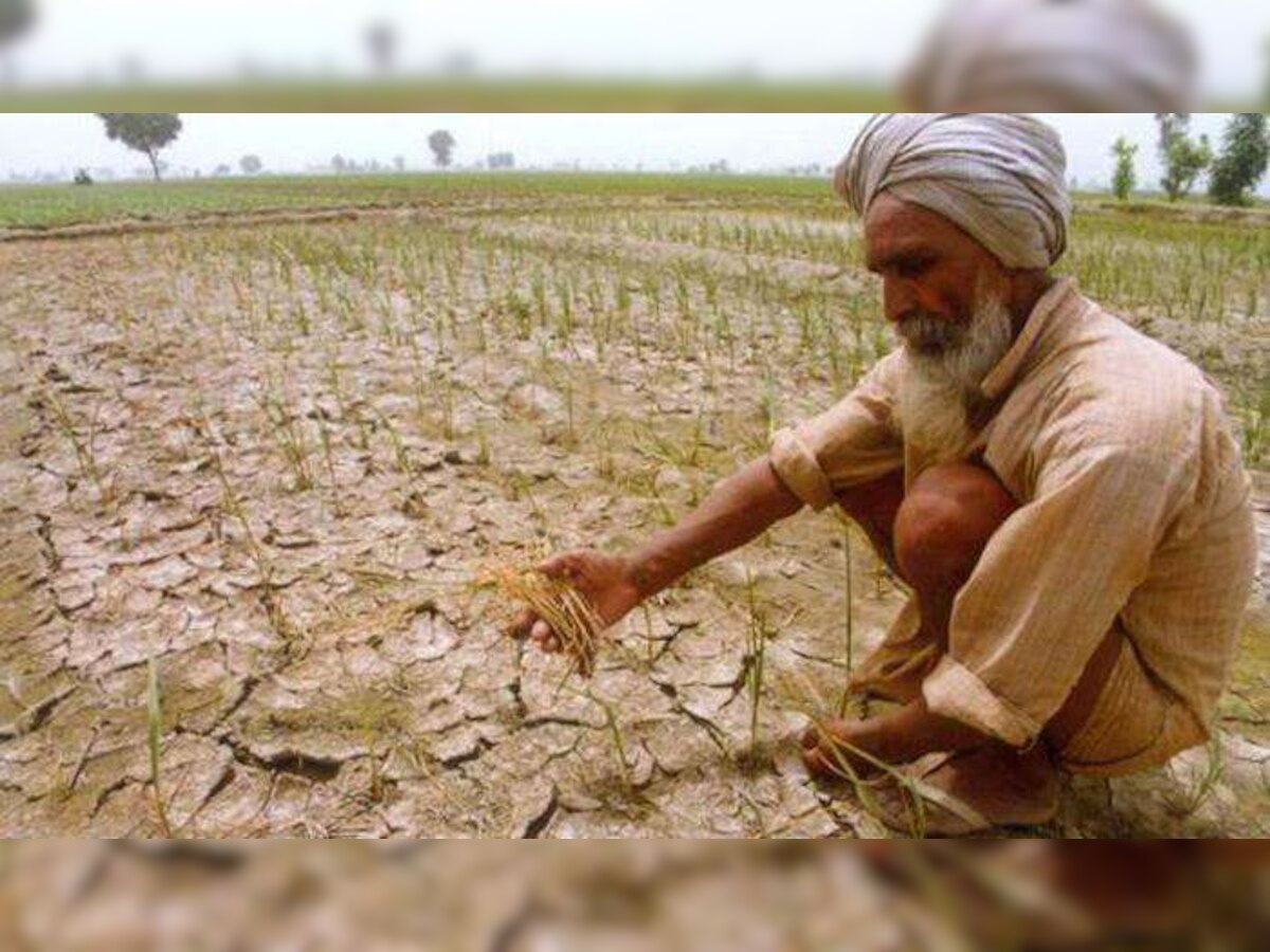 चंद्रपुरात उन्हामुळे शेतजमिनीला भेगा, पावसाने पाठ फिरवल्याने पीकं धोक्यात  title=