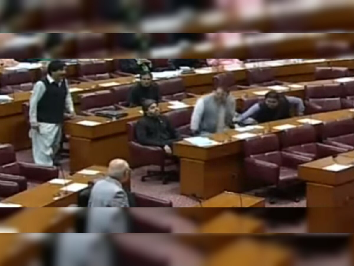 मंत्रीमहोदयांना कुत्र्याची उपमा दिल्यामुळे पाकिस्तानच्या संसदेत गोंधळ  title=