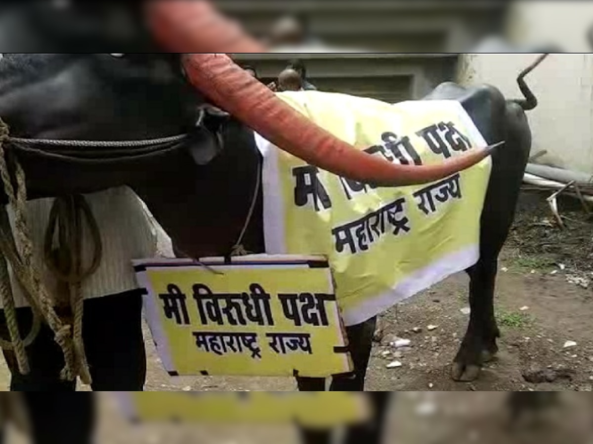 दुष्काळग्रस्त मराठवाड्याच्या मागणीसाठी हालगट मोर्चा title=