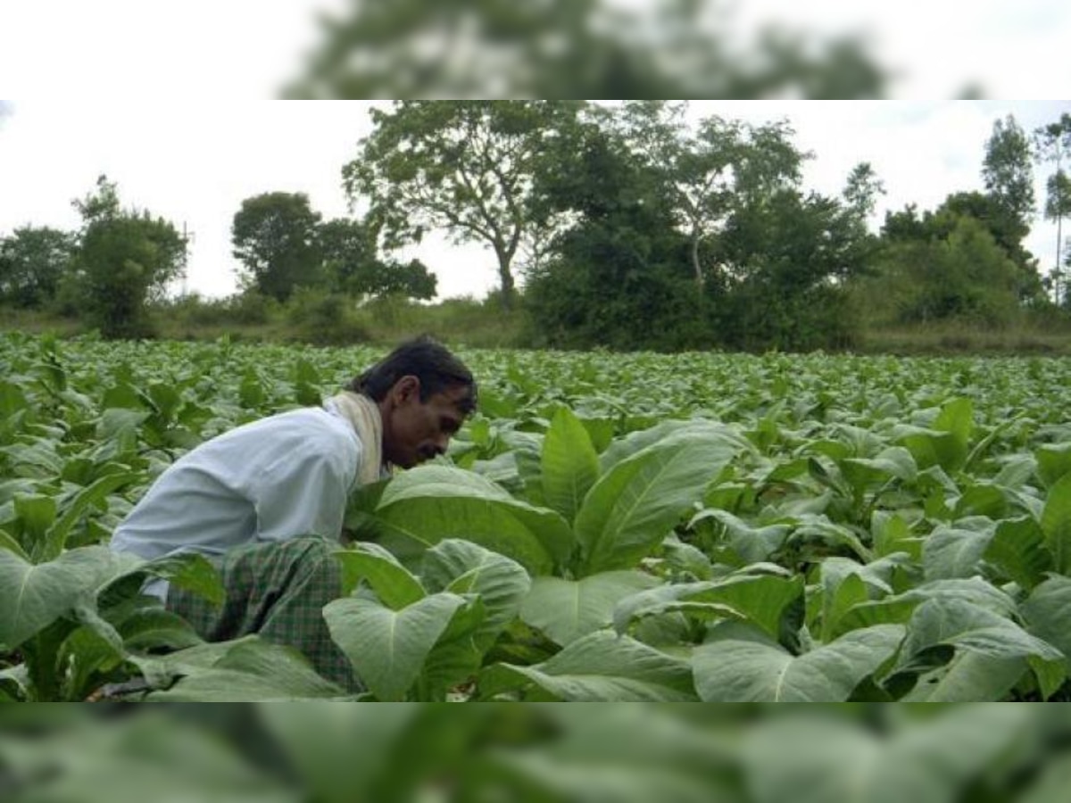 परतीच्या पावसाचा नाशिक जिल्ह्यातील गावांना तडाखा title=