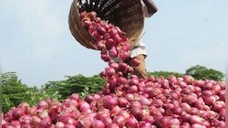 मुंबईत १६८ किलो कांद्याची चोरी, दोघांना अटक