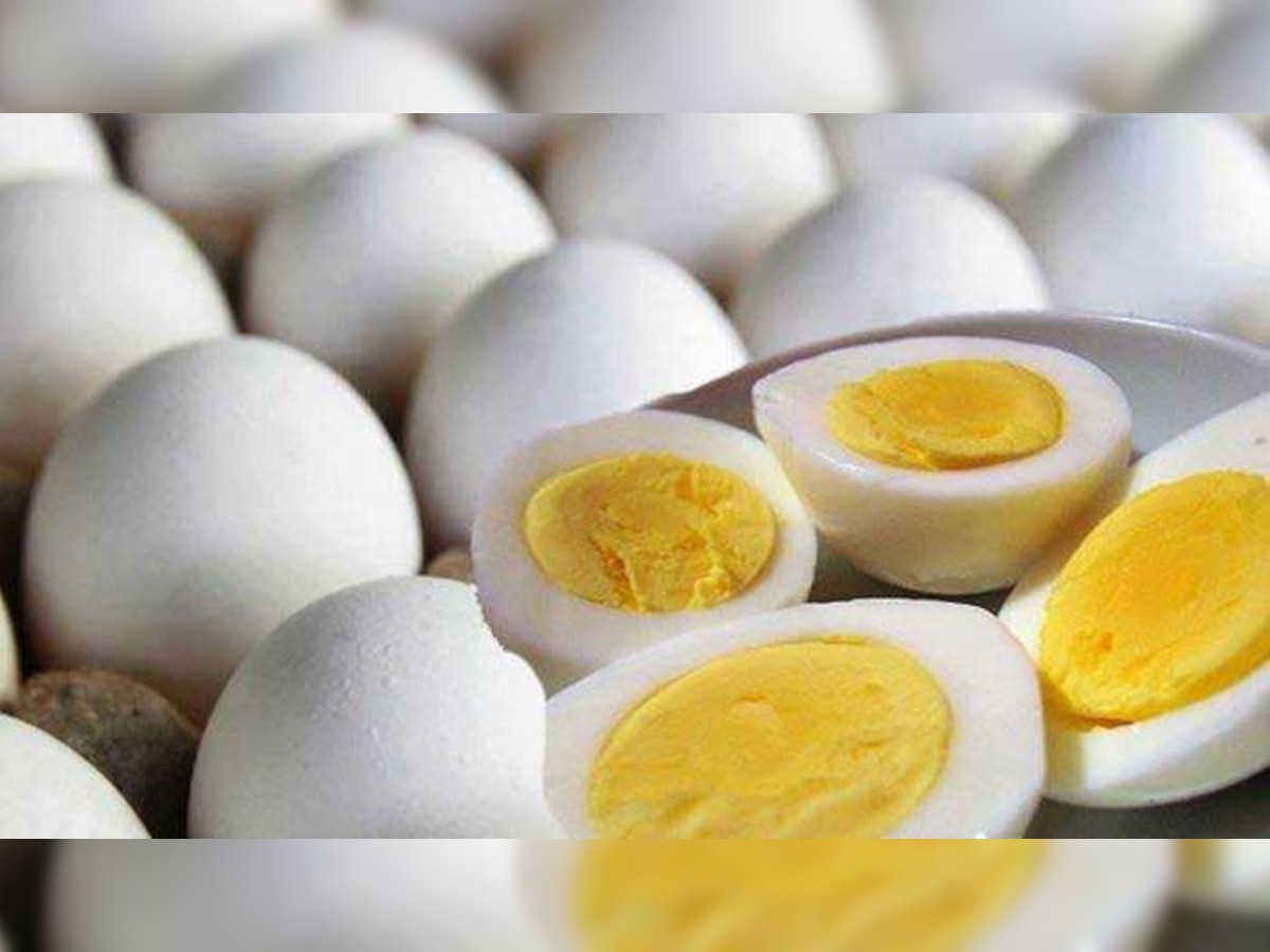 मुंबईत सापडलेले ते अंडे खरंच प्लास्टिकची होती का?, एफडीएचा खुलासा  title=