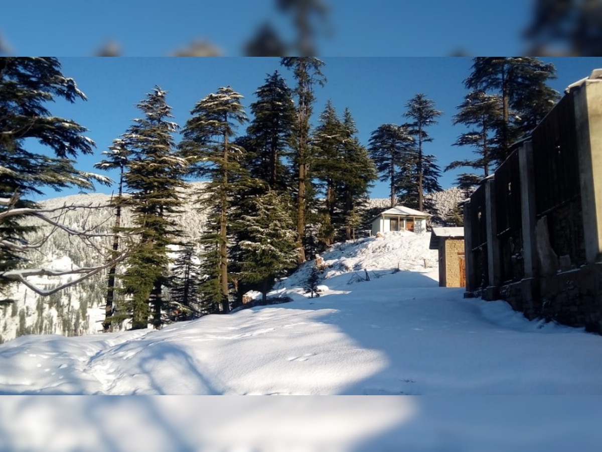 व्हिडिओ : हिमाचलप्रदेशमध्ये बर्फवृष्टी; वीज, पाणीपुरवठ्यावरही परिणाम title=