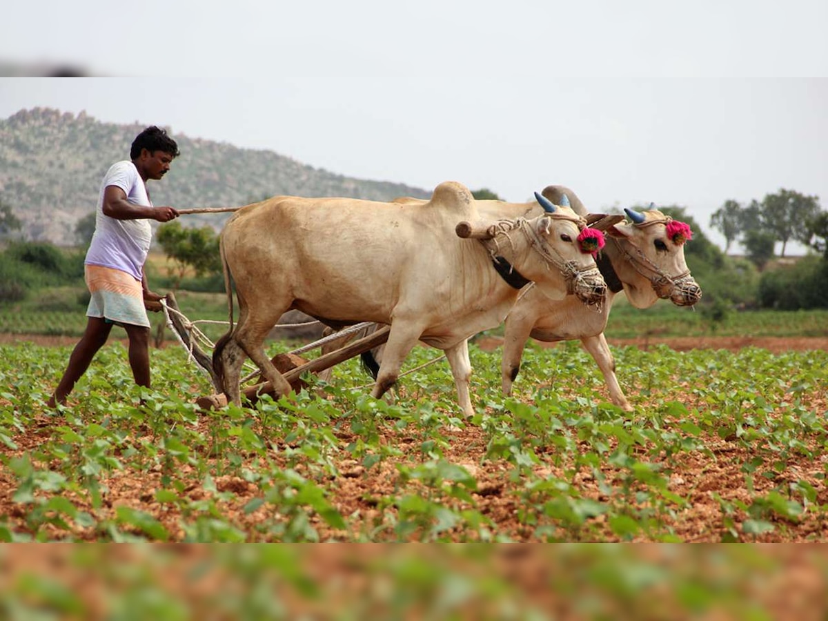 मोठी बातमी: शेतकऱ्यांच्या कर्जमाफीसाठी अर्थसंकल्पात १५ हजार कोटींची तरतूद title=