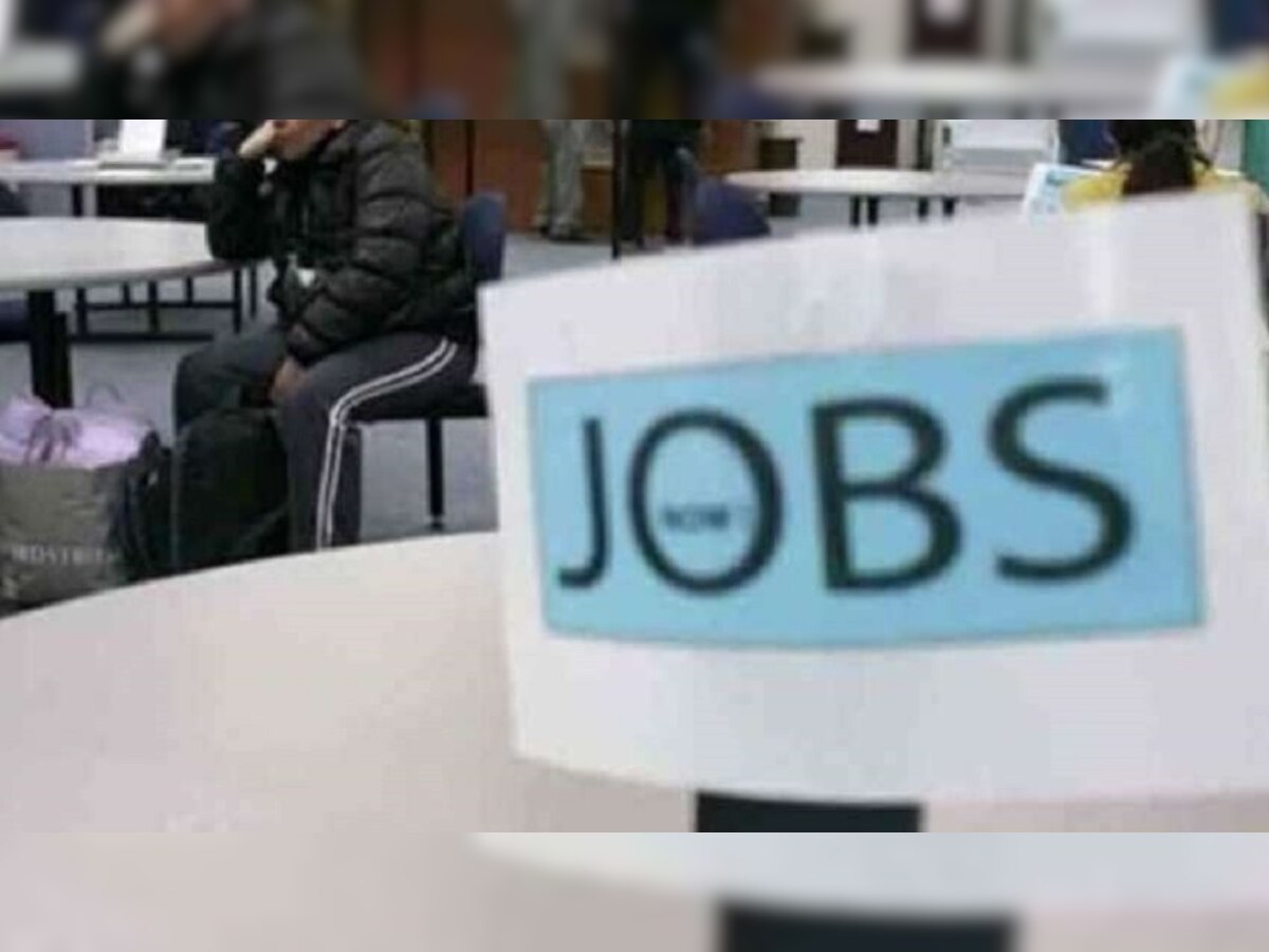 Government jobs: राज्यात सरकारी नोकरीची संधी; अर्ज करण्यासाठी ही शेवटची तारीख title=