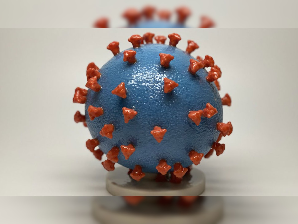 Coronavirus : चोराला पकडण्याच्या नादात पसरला कोरोना  title=