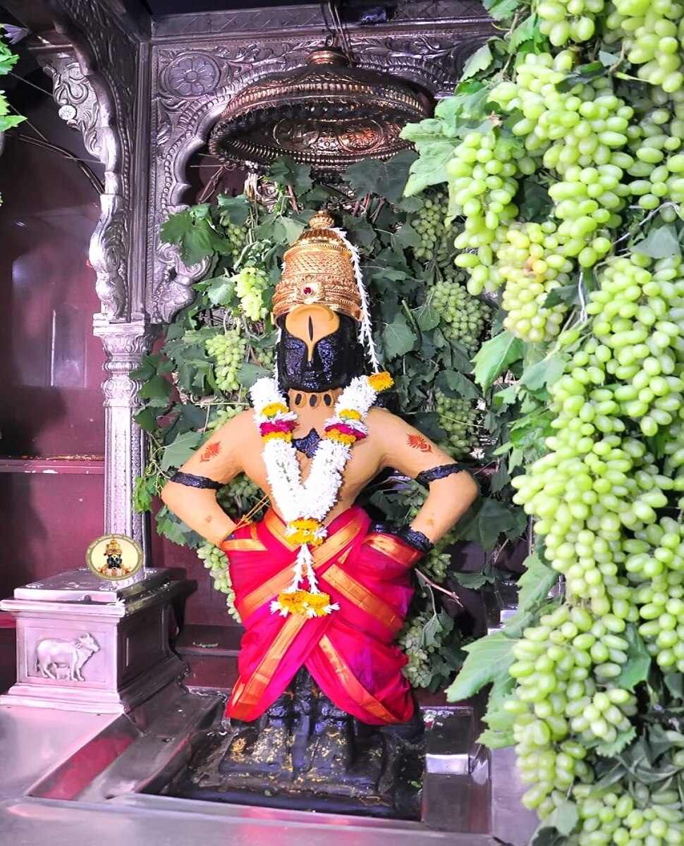 द्राक्षांच्या घडांनी सजला विठ्ठल-रूक्मिणी मंदिराचा गाभारा द्राक्षांच्या घडांनी सजला विठ्ठल-रूक्मिणी मंदिराचा गाभारा