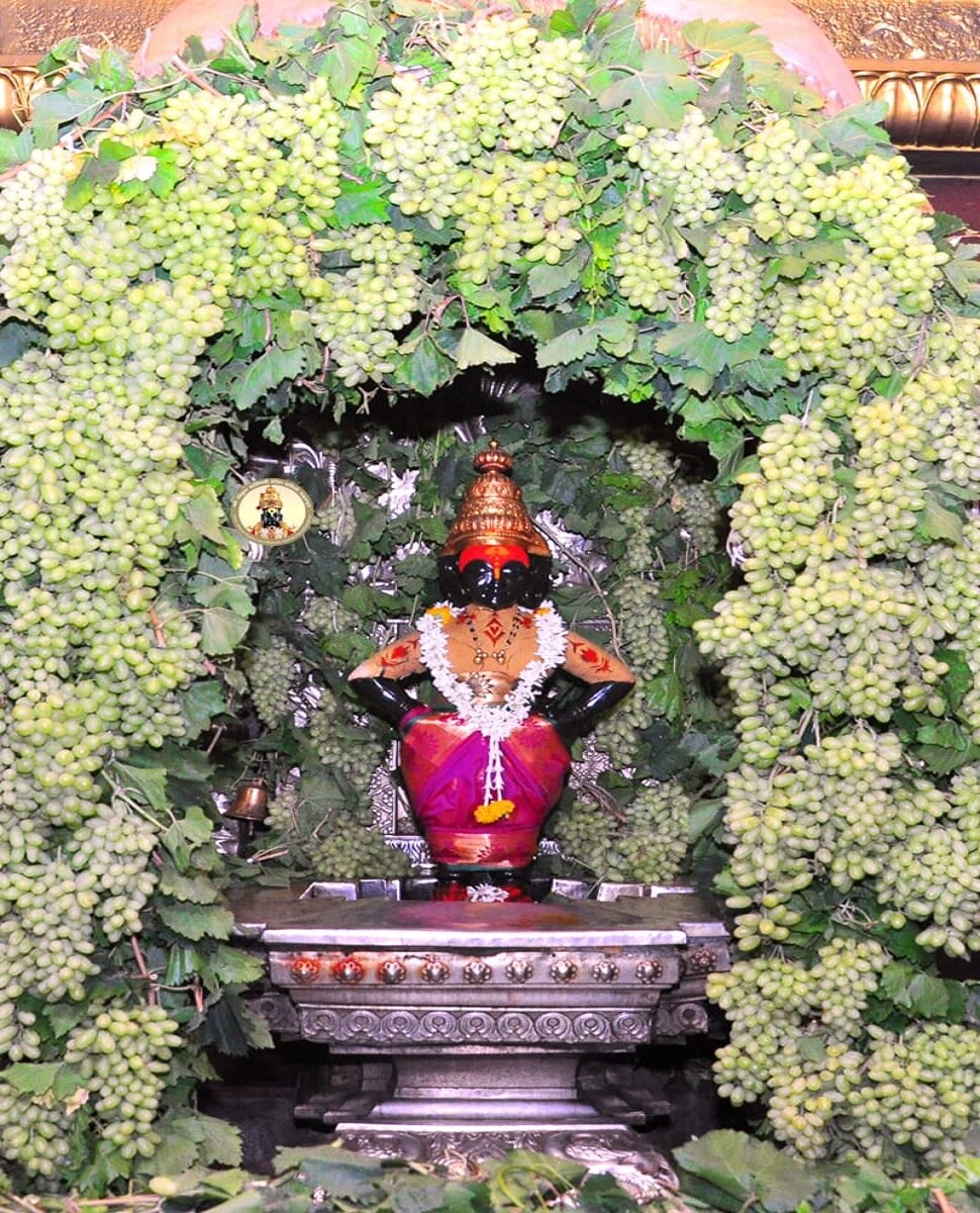 द्राक्षांच्या घडांनी सजला विठ्ठल-रूक्मिणी मंदिराचा गाभारा द्राक्षांच्या घडांनी सजला विठ्ठल-रूक्मिणी मंदिराचा गाभारा