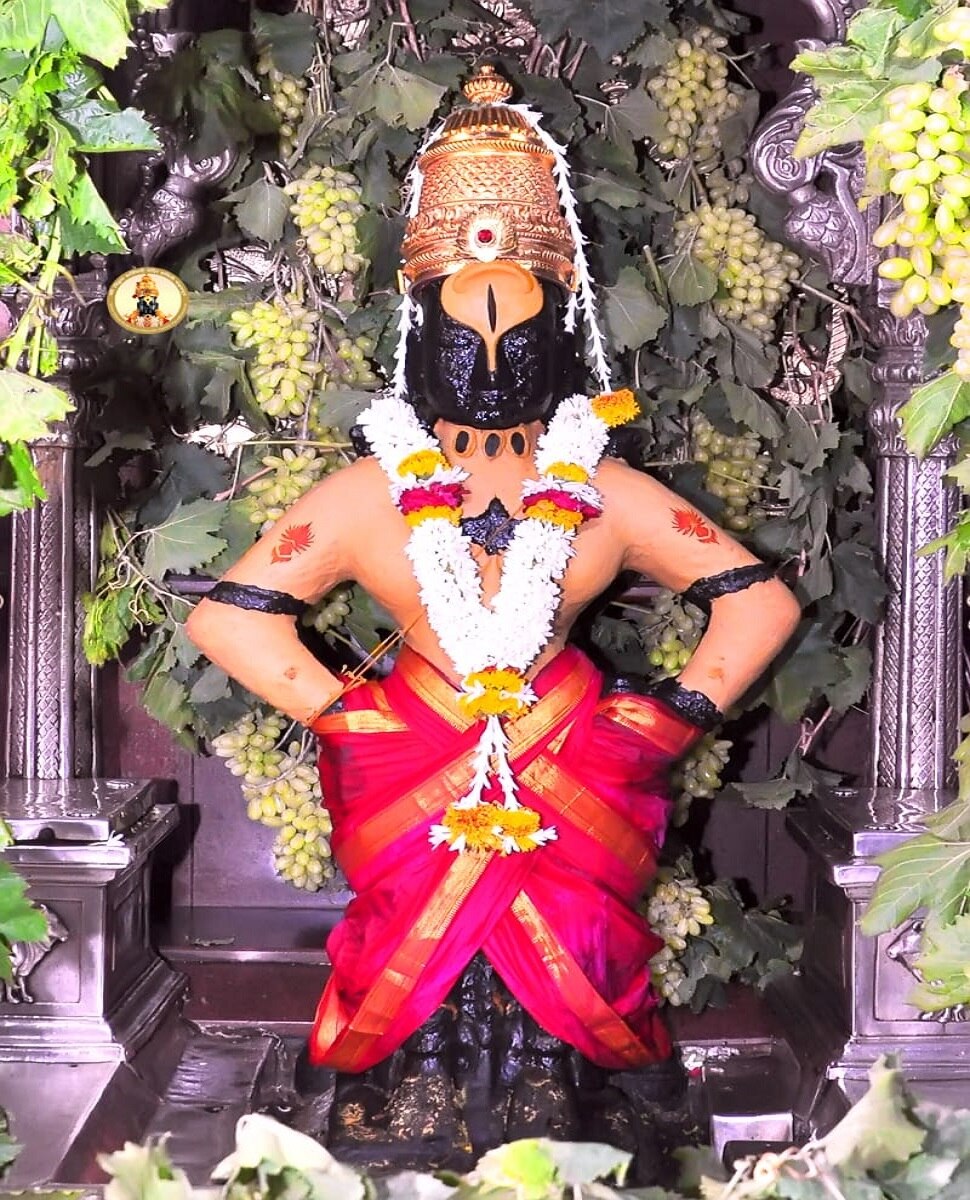 द्राक्षांच्या घडांनी सजला विठ्ठल-रूक्मिणी मंदिराचा गाभारा द्राक्षांच्या घडांनी सजला विठ्ठल-रूक्मिणी मंदिराचा गाभारा
