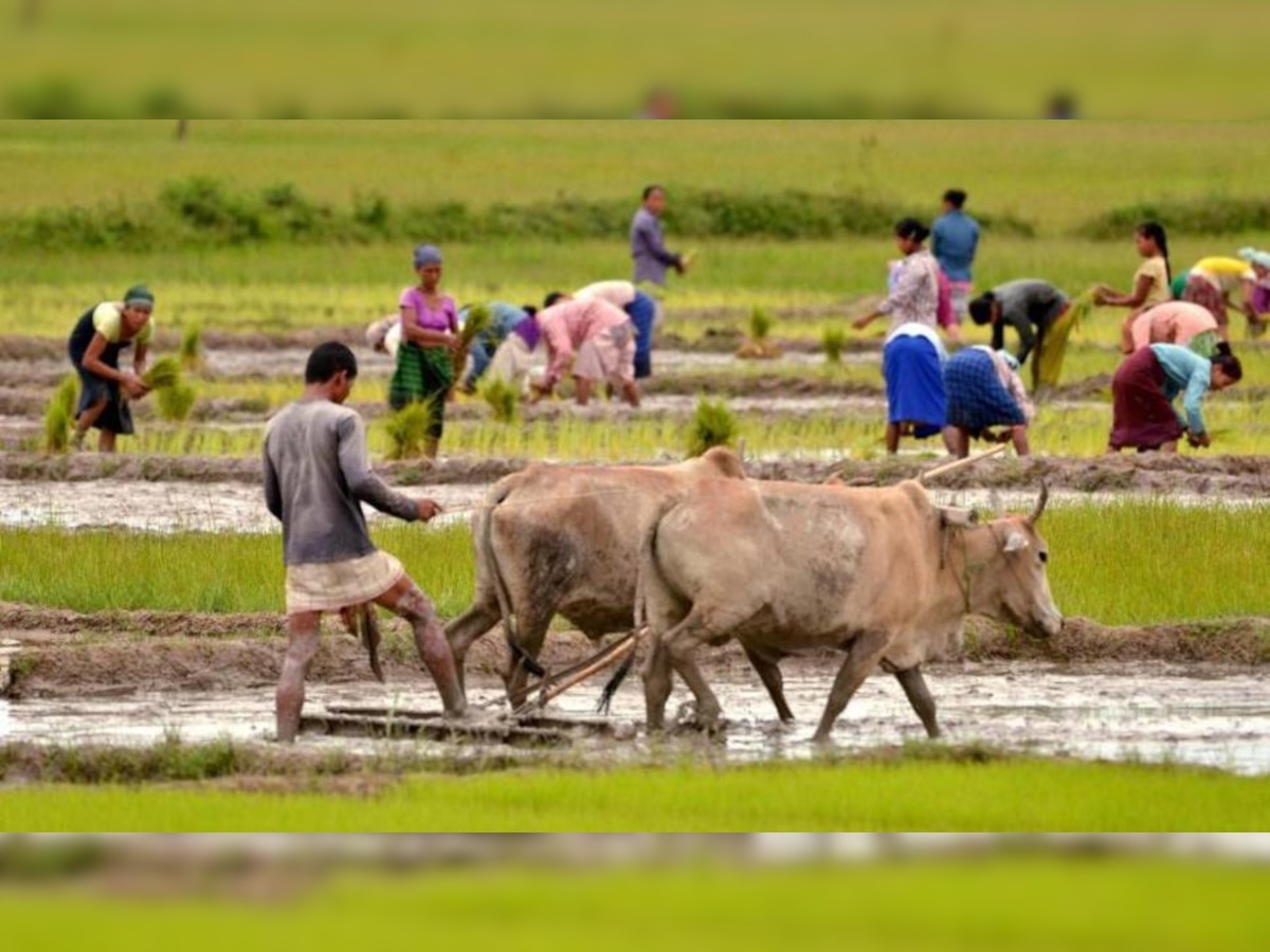 खरिपाच्या तयारीसाठी शेतशिवारात लगबग  title=