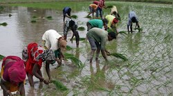 राज्यातील अकरा लाखाहून अधिक शेतकर्‍यांना जुलै अखेरपर्यंत मिळणार कर्जमाफी 