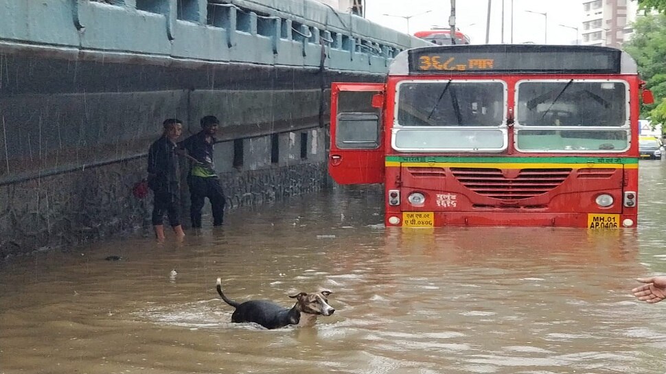 मुसळधार पावसामुळे मुंबईत सखल भागात साचले पाणी : फोटो मुसळधार पावसामुळे मुंबईत सखल भागात सचले पाणी : फोटो