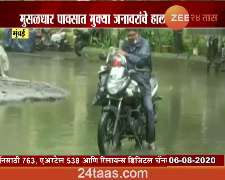 Mumbai Bike Driver Save Cat In Rain