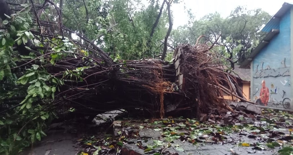 जेजेच्या कलावंताचा 'आधार'वड गेला...