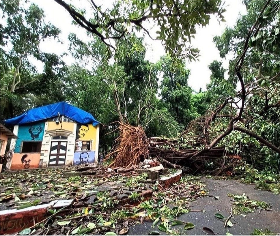 जेजेच्या कलावंताचा 'आधार'वड गेला...