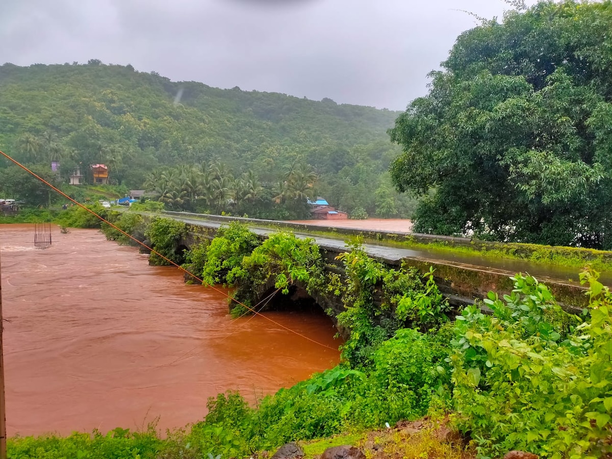  राज्यभरात अनेक ठिकाणी चांगला पाऊस, धरण पाणीसाठ्यात वाढ  title=