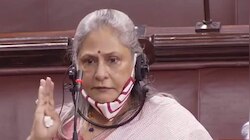 'सिनेसृष्टी कुणाची जहागीर नाही...' जया बच्चन यांना अभिनेत्याचं सडेतोड उत्तर 