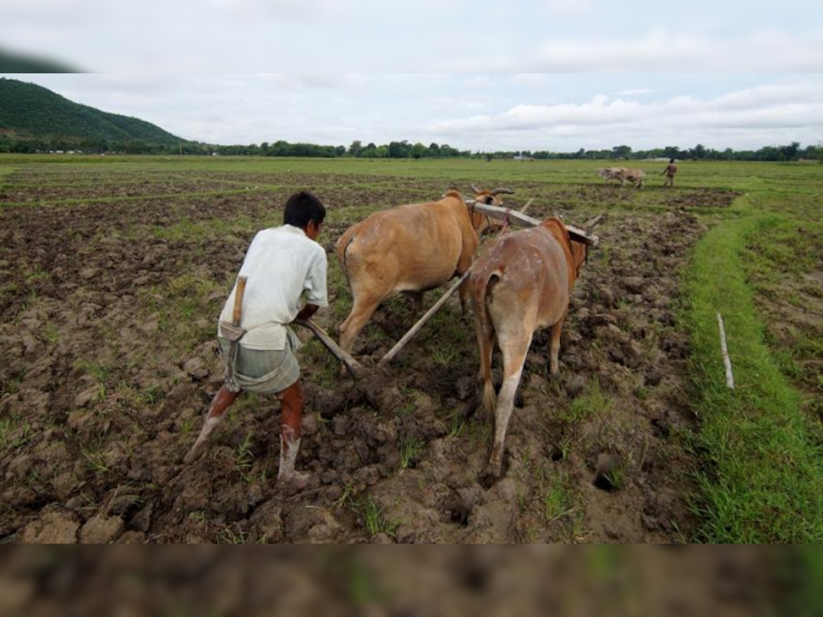 परतीच्या पावसाचा शेतकऱ्यांना फटका ; १ लाख ३० हेक्टर पिक वाया title=