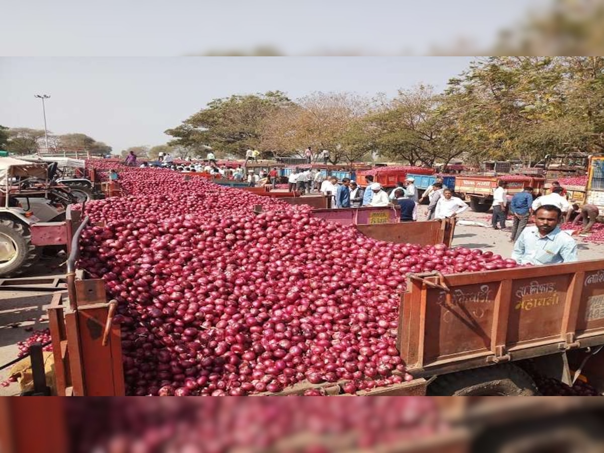 लासलगावमध्ये कांद्याच्या भावात आज ७०० रुपयांची घसरण title=