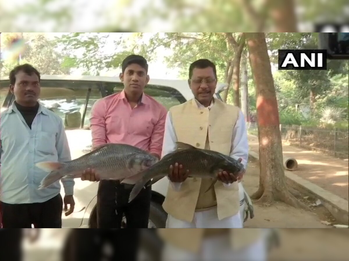 ...म्हणून तेजस्वी, तेज प्रताप यादवांसाठी कार्यकर्त्यांनी आणले शुभशकूनी मासे title=