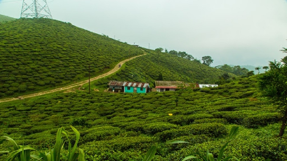 स्मित गाव