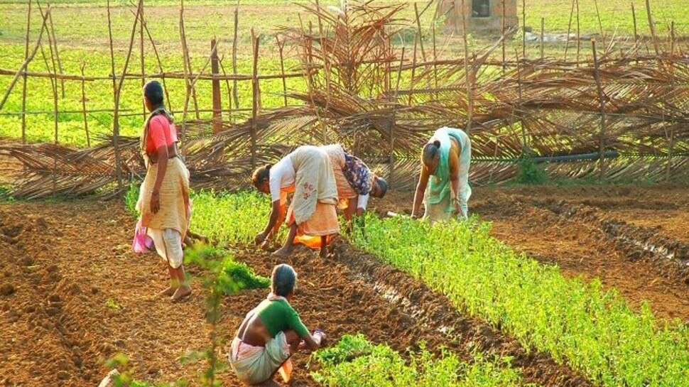 फायदा उठवणाऱ्यांवर कारवाई