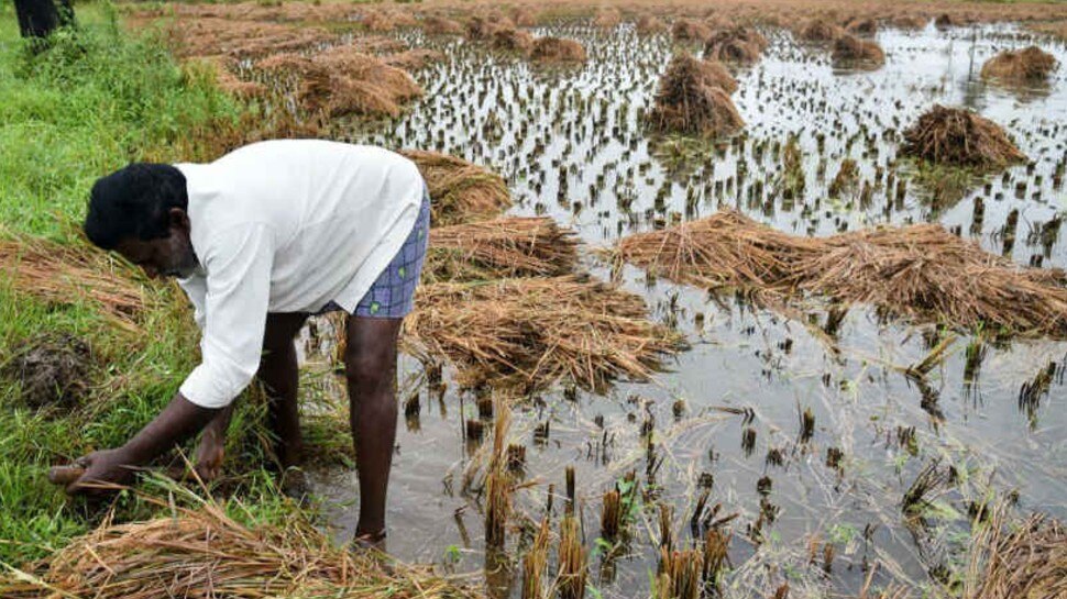 यांना नाही मिळत PM KISAN चा फायदा 