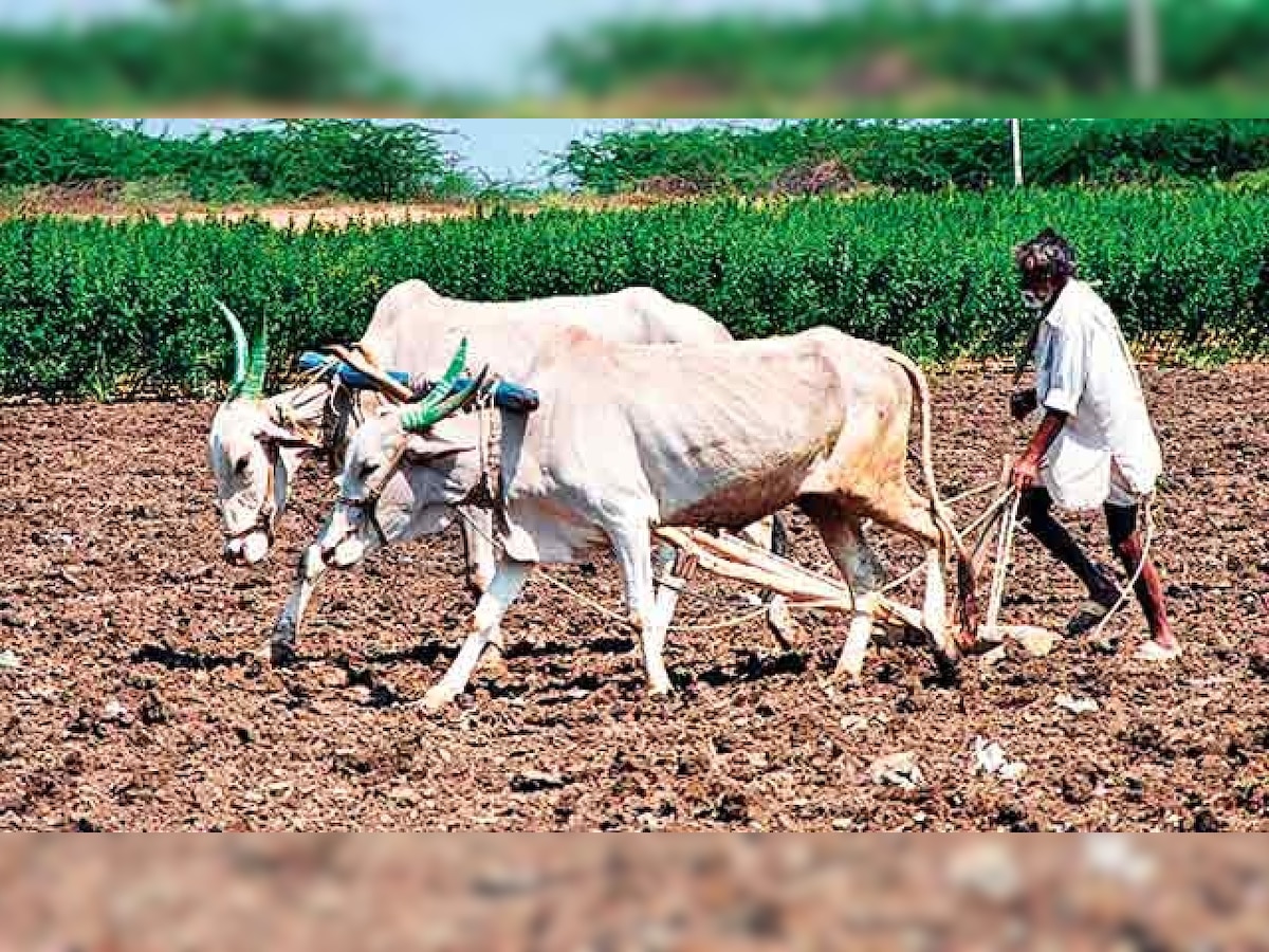  PM KISAN : शेतकरी मायबापांनो तुमच्या हक्काचे एवढे पैसे, या तारखेला तुमच्या खात्यात येणार, जाणून घ्या प्रक्रिया title=