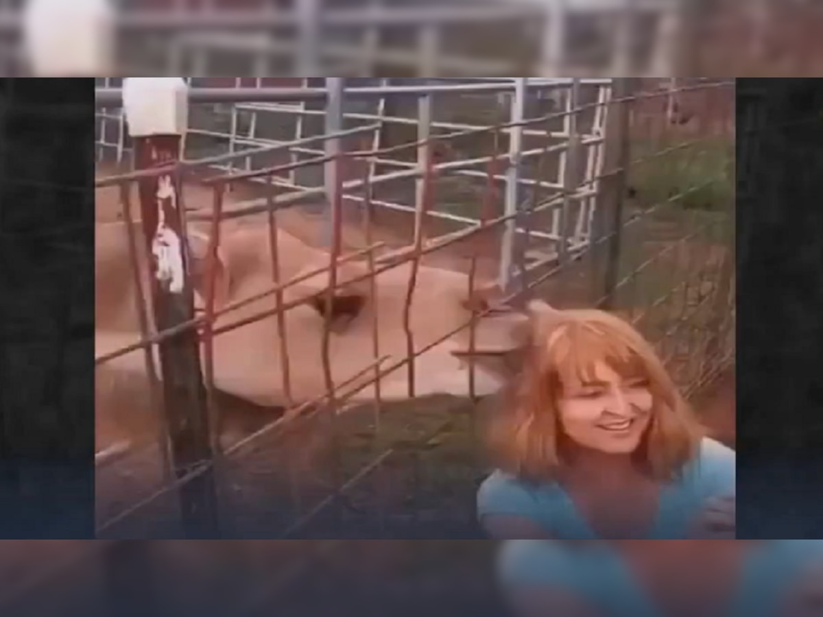 Viral Video: ऊंटासोबत सेल्फी घेणं महिलेला पडलं महाग title=