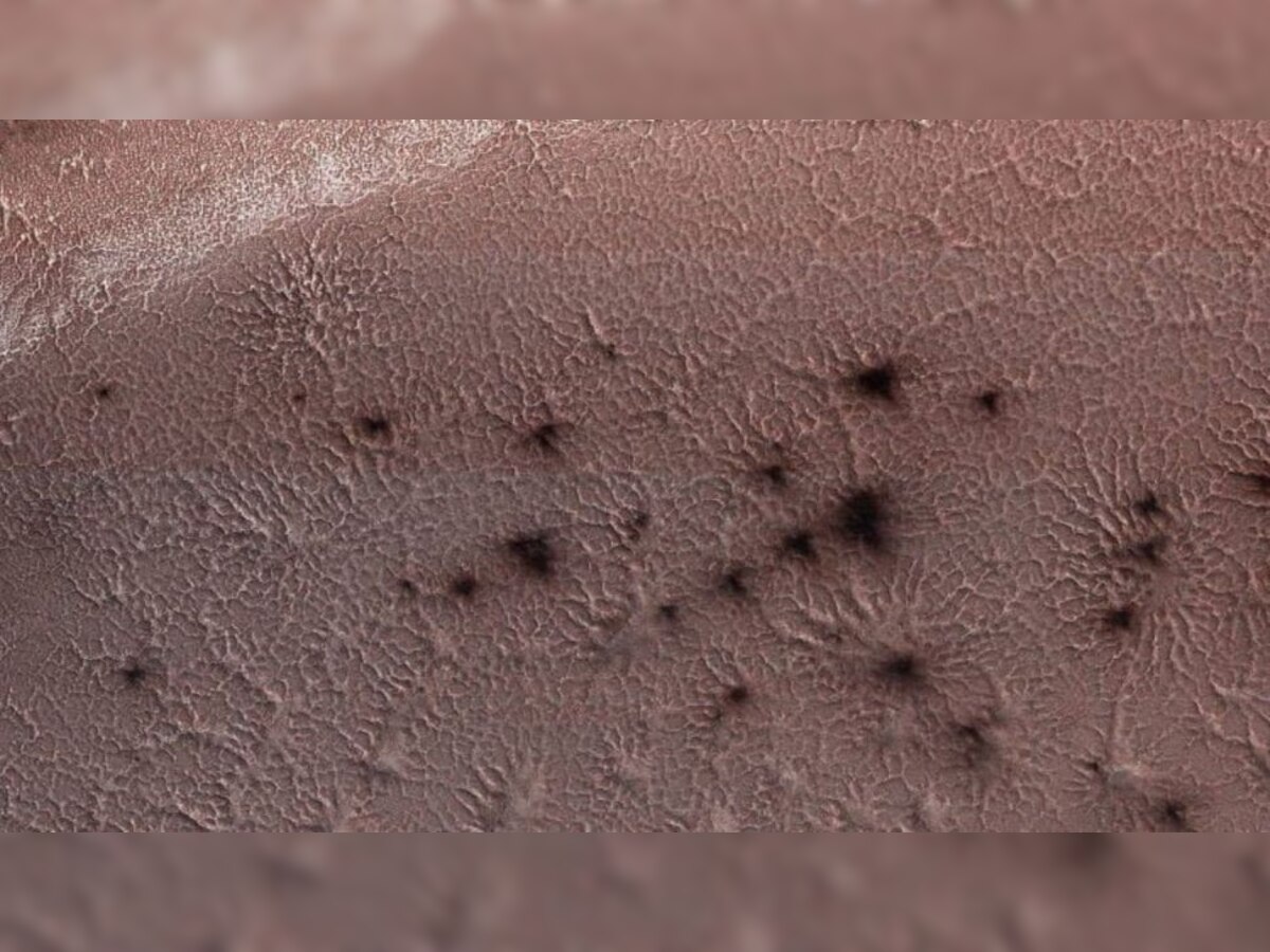 Spiders on Mars : मंगळावर 'कोळी'चं अस्तित्व, संशोधकांच्या अभ्यासात Mars Mission ट्विस्ट  title=